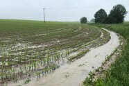 Maisfeld nach Starkregen unter Wasser